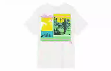 Stussy Palm Desert Tee
