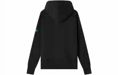 Champion FW23 Rochester Logo