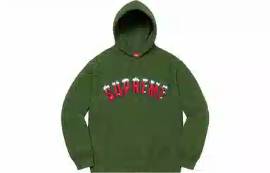 Supreme FW20 Week 1 Icy Arc Hooded Sweatshirt Logo