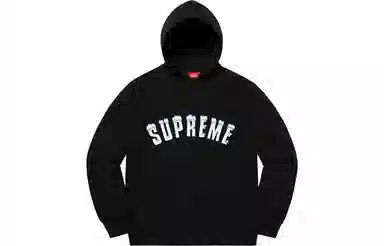 Supreme FW20 Week 1 Icy Arc Hooded Sweatshirt Logo