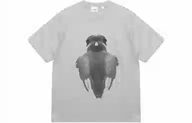 Burberry T