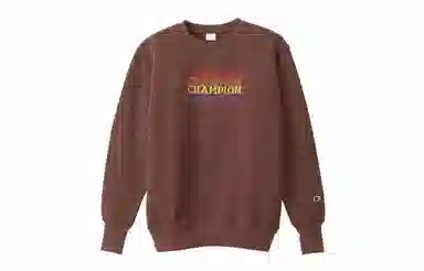 Champion Fleece Hoodie Japan Edition Brown