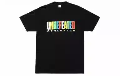 UNDEFEATED Multicolor Logo Crewneck Tee