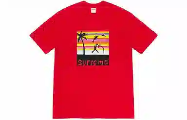 Supreme Dunk Tee