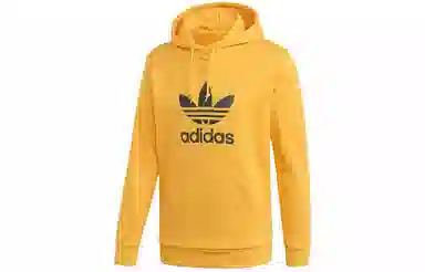 adidas originals Trefoil Hoodie