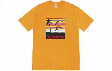 Supreme Dunk Tee