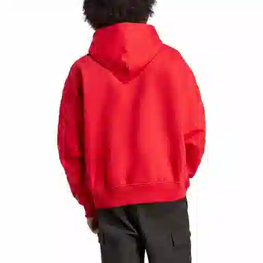 adidas originals Blue Version SAN DIEGO HOODIE