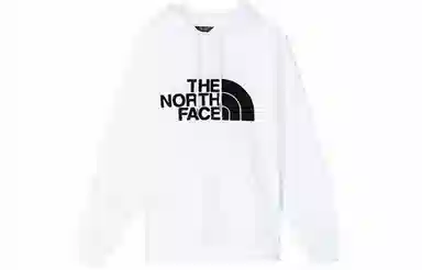 THE NORTH FACE THROWBACK EMBROIDERED PULLOVER HOD