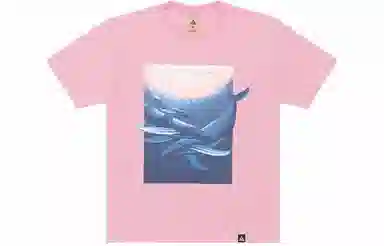 Nike ACG "Wyland" T