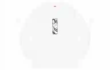 Supreme Week 4 x The Crow LS Tee T