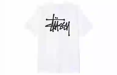 Stussy Logo T-Shirt
