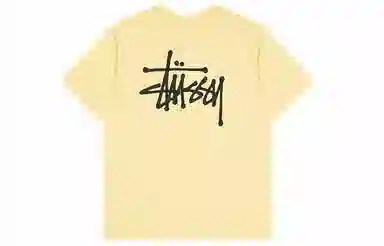 Stussy Logo T-Shirt