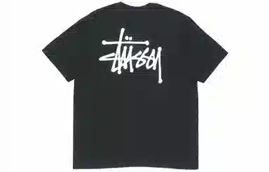 Stussy Logo T-Shirt