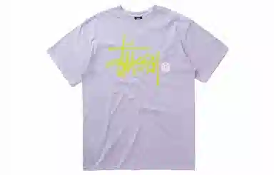 Stussy Basic Logo Pigment Dyed Tee LogoT