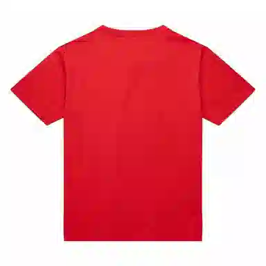 Mitchell Ness x MLS New England Revolution T