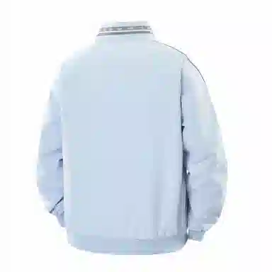 SNOW FLYING