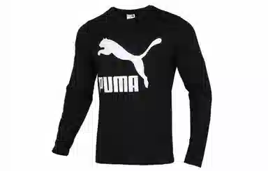 Puma T