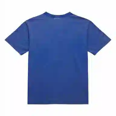 Mitchell Ness x NFL Seattle Seahawks Vintage Logo Fade Away Premium T