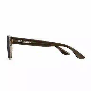 MOLSION