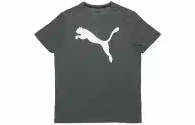 Puma T