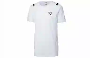Puma T