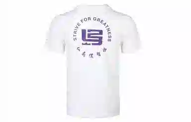 Nike Strive for greatness T
