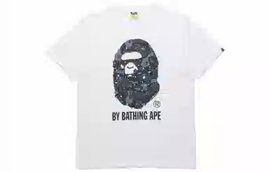 A BATHING APE Space Camo