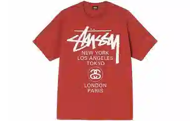 Stussy World Tour Tee