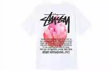 Stussy Reflection Tee