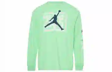 Jordan Legacy AJ13 T