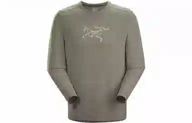 Arcteryx Cormac Logo LS T