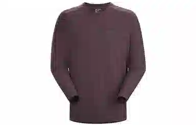 Arcteryx Cormac Logo LS T