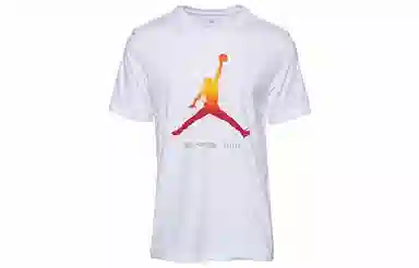 Jordan Legacy AJ11 T