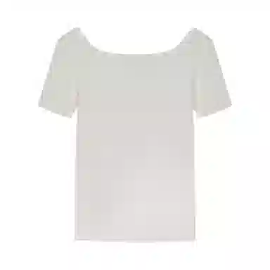 Champion SS25 Mineral Dye T