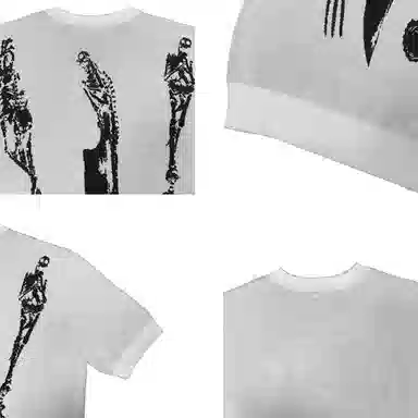 VNHP T