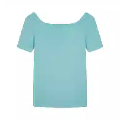 Champion SS25 Mineral Dye T