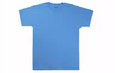 Champion T
