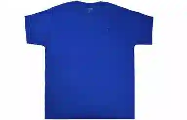 Champion logoT