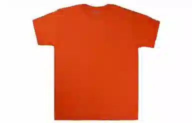 Champion T