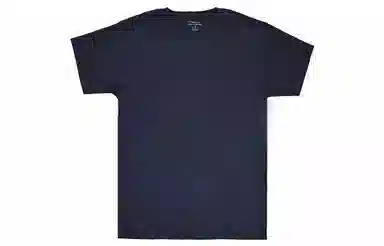 Champion T