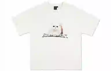 Suamoment T