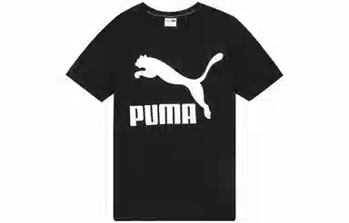 Puma T
