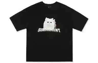 Suamoment T