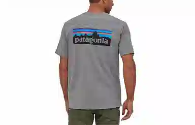 patagonia P-6Logo Responsibili LogoT