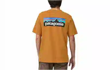 patagonia P-6Logo Responsibili LogoT
