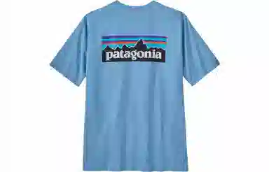patagonia P-6Logo Responsibili LogoT