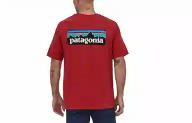 patagonia P-6Logo Responsibili LogoT