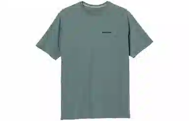 patagonia P-6Logo Responsibili LogoT