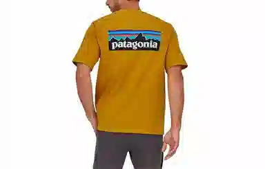 patagonia P-6Logo Responsibili LogoT