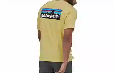 patagonia P-6Logo Responsibili LogoT